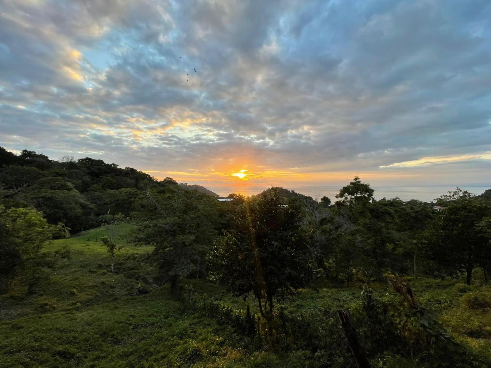 Pura Natura Lodge Manuel Antonio Esterno foto