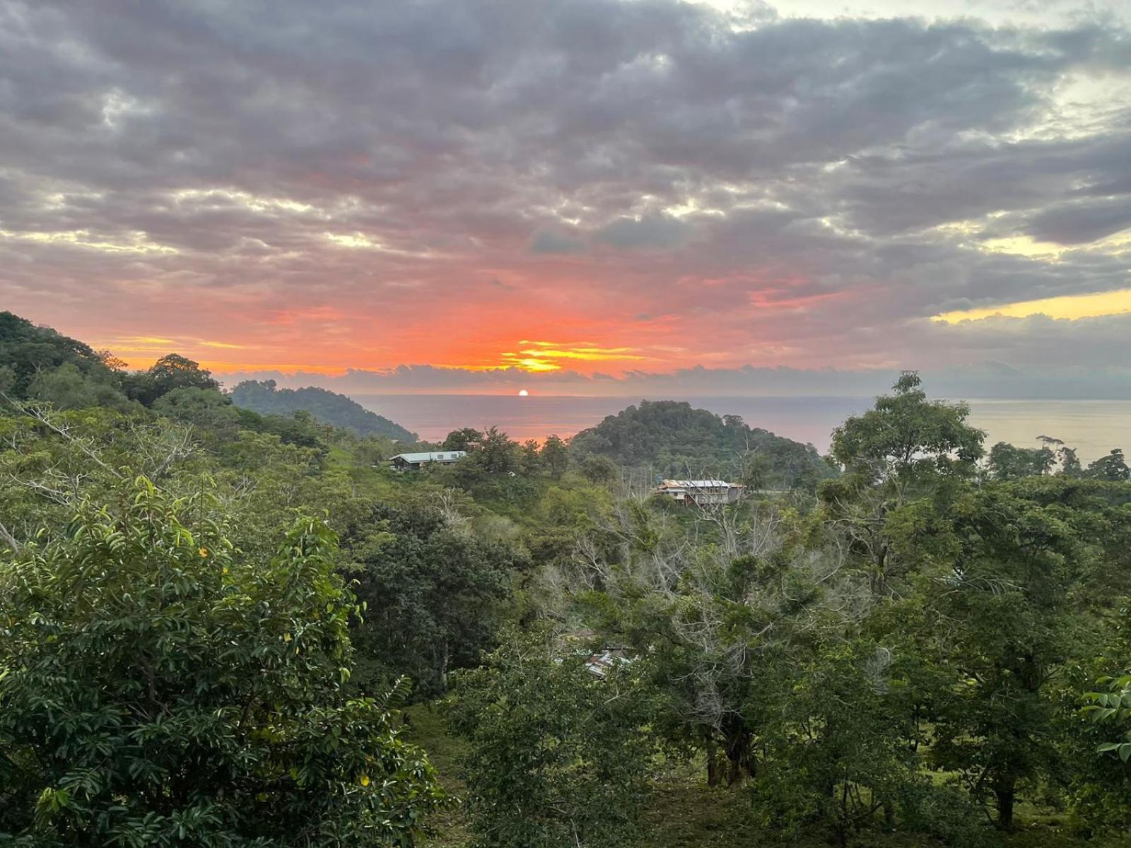 Pura Natura Lodge Manuel Antonio Esterno foto