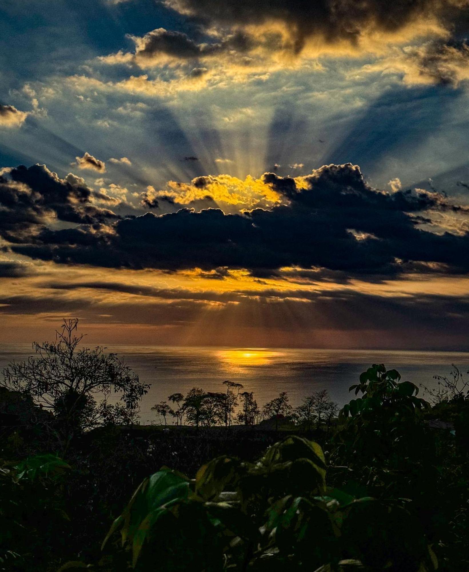 Pura Natura Lodge Manuel Antonio Esterno foto