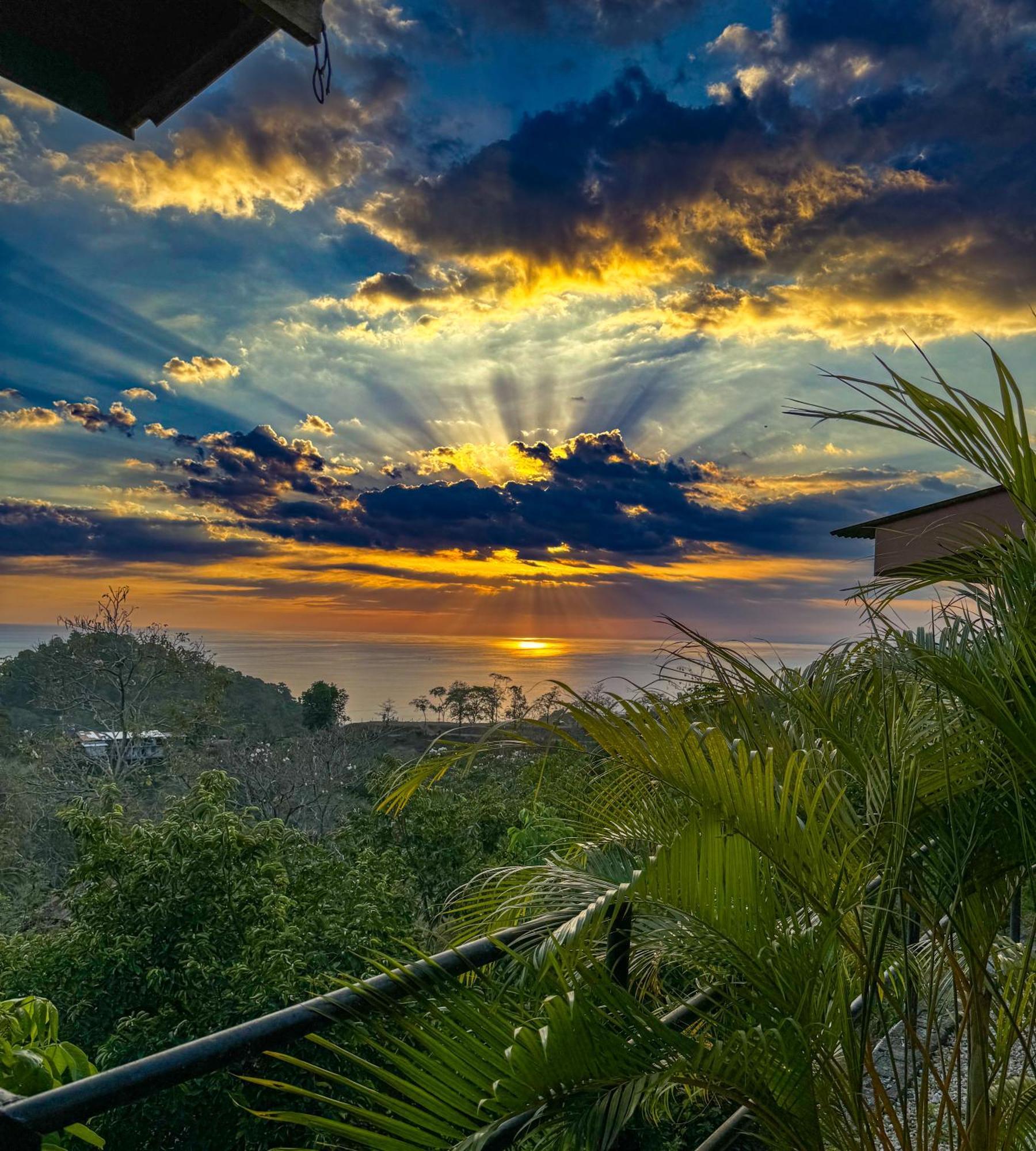 Pura Natura Lodge Manuel Antonio Esterno foto